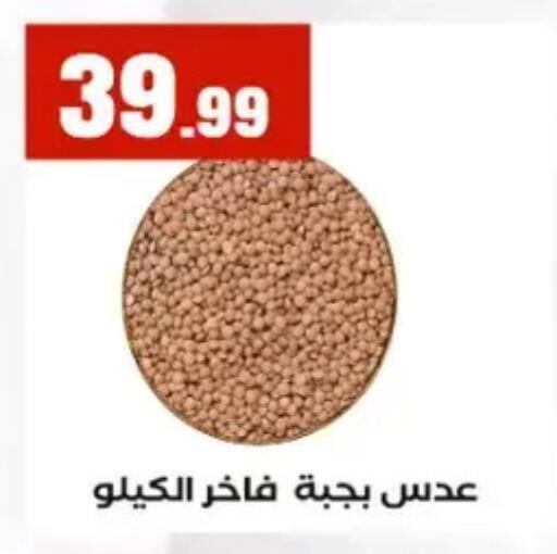 available at المحلاوي ستورز in Egypt - القاهرة