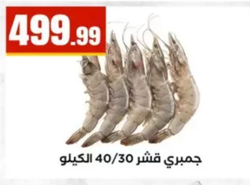 available at المحلاوي ستورز in Egypt - القاهرة