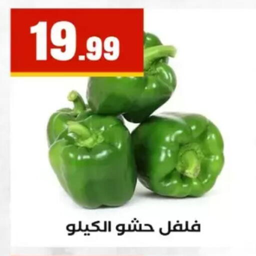available at المحلاوي ستورز in Egypt - القاهرة