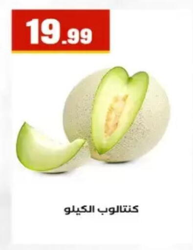 available at El Mahlawy Stores in Egypt - Cairo