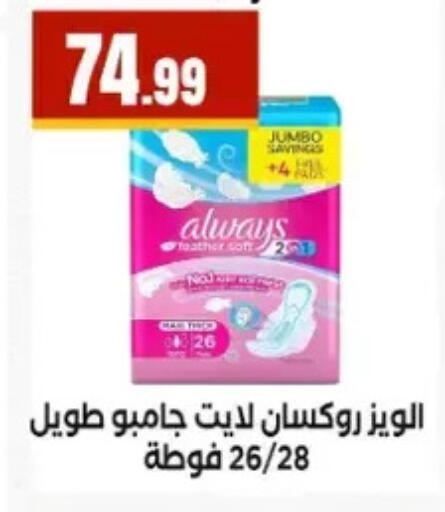 available at المحلاوي ستورز in Egypt - القاهرة