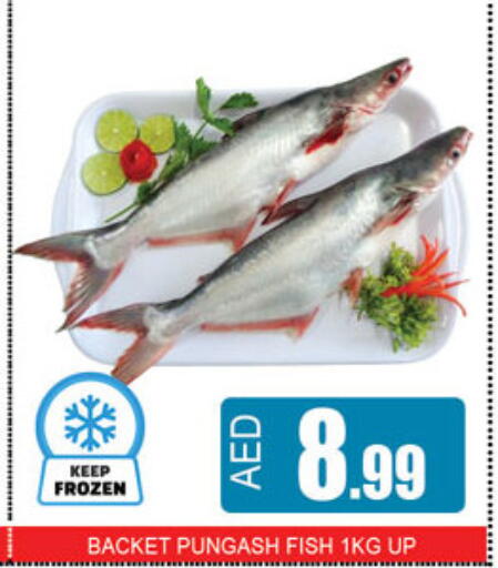 available at Lucky Center in UAE - Sharjah / Ajman