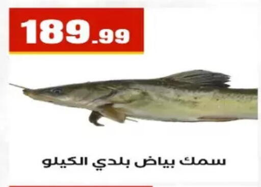 available at المحلاوي ستورز in Egypt - القاهرة