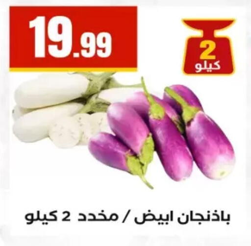 available at المحلاوي ستورز in Egypt - القاهرة