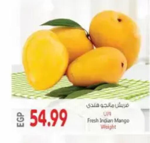 Mango from India available at New.Penny.market in Egypt - Cairo