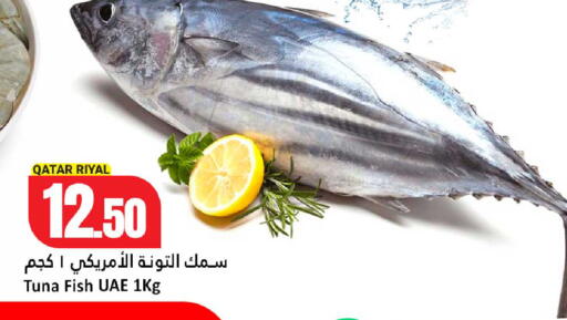 available at دانة هايبرماركت in قطر - الشمال