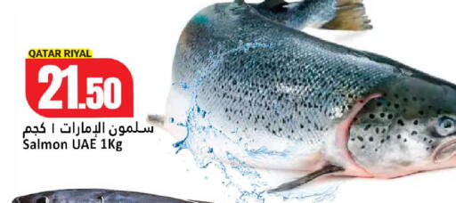 available at دانة هايبرماركت in قطر - الشمال