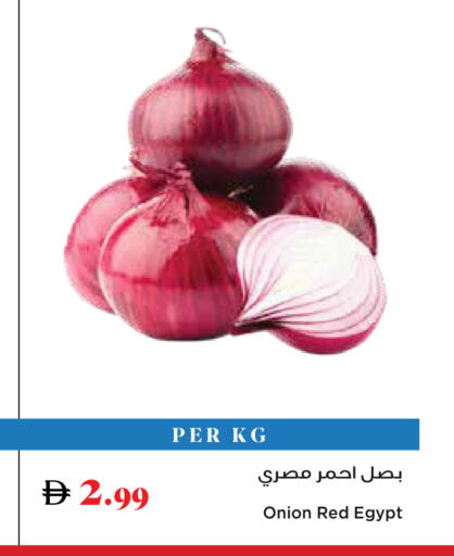 Onion from Egypt available at Trolleys Supermarket in UAE - Sharjah / Ajman