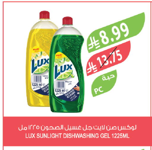 available at المزرعة in مملكة العربية السعودية, السعودية, سعودية - الباحة