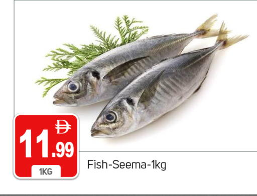 available at سوق طلال in الإمارات العربية المتحدة , الامارات - دبي