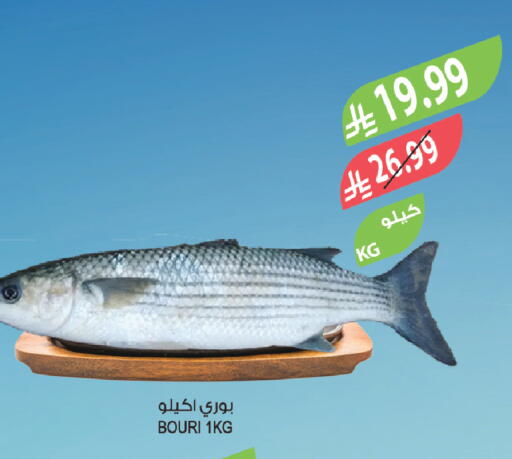 available at المزرعة in مملكة العربية السعودية, السعودية, سعودية - الباحة