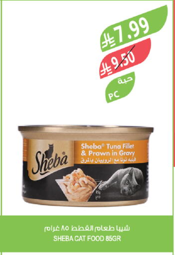 available at المزرعة in مملكة العربية السعودية, السعودية, سعودية - الباحة