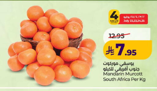 Mandarin from South Africa available at لولو هايبرماركت in مملكة العربية السعودية, السعودية, سعودية - ينبع