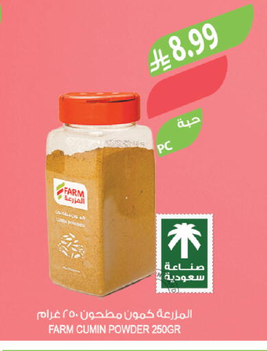Cumin available at المزرعة in مملكة العربية السعودية, السعودية, سعودية - ينبع