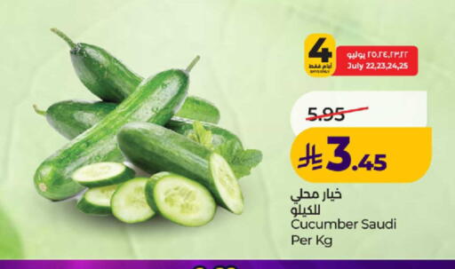 Cucumber from Saudi Arabia available at لولو هايبرماركت in مملكة العربية السعودية, السعودية, سعودية - ينبع