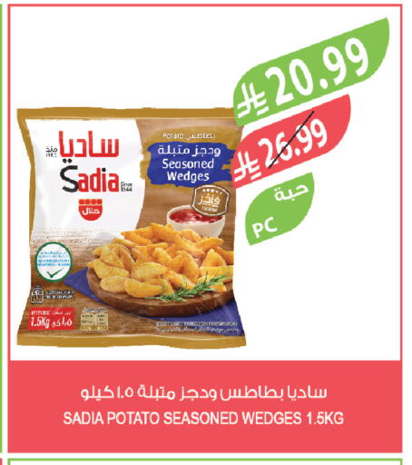 Potato available at Farm  in KSA, Saudi Arabia, Saudi - Jazan