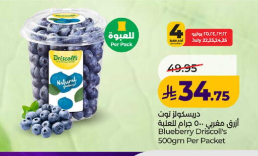 Blueberry BlueBerry available at لولو هايبرماركت in مملكة العربية السعودية, السعودية, سعودية - ينبع
