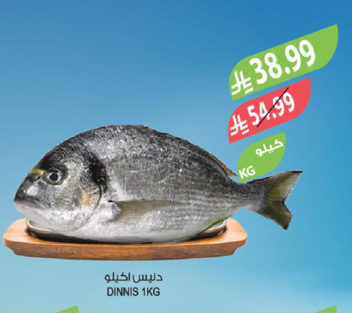available at المزرعة in مملكة العربية السعودية, السعودية, سعودية - الباحة