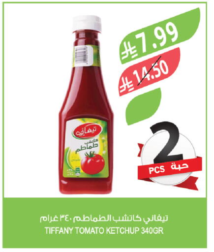 Tomato available at Farm  in KSA, Saudi Arabia, Saudi - Tabuk