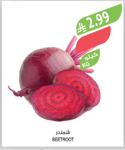 Beetroot available at المزرعة in مملكة العربية السعودية, السعودية, سعودية - الباحة