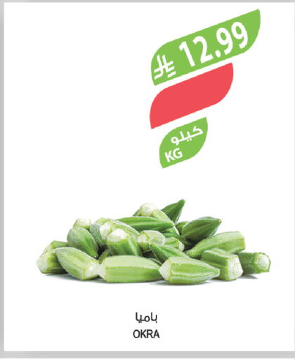 Okra available at المزرعة in مملكة العربية السعودية, السعودية, سعودية - الباحة