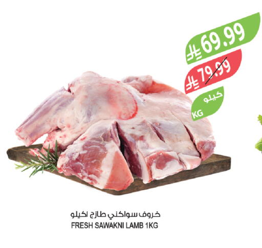 available at المزرعة in مملكة العربية السعودية, السعودية, سعودية - الباحة