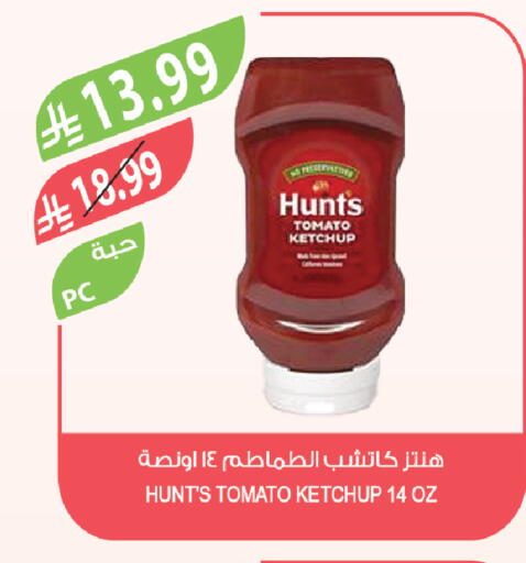Tomato available at Farm  in KSA, Saudi Arabia, Saudi - Yanbu