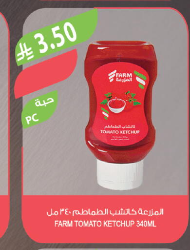 Tomato available at Farm  in KSA, Saudi Arabia, Saudi - Yanbu
