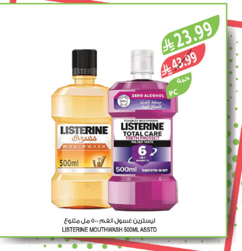Mint available at Farm  in KSA, Saudi Arabia, Saudi - Dammam