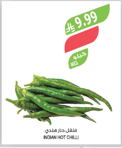 Chilli from India available at المزرعة in مملكة العربية السعودية, السعودية, سعودية - الباحة