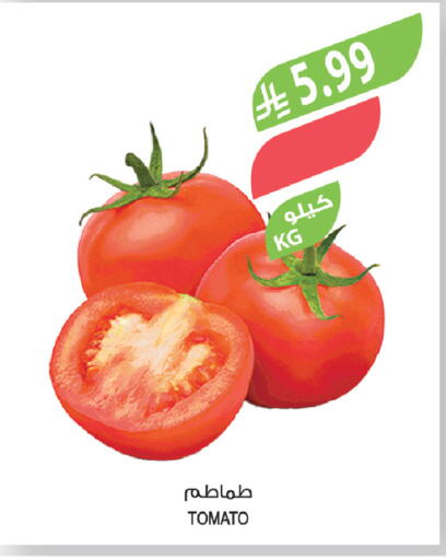 Tomato available at المزرعة in مملكة العربية السعودية, السعودية, سعودية - الباحة