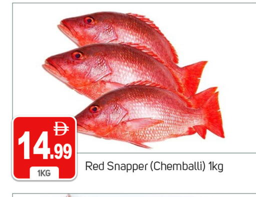 available at سوق طلال in الإمارات العربية المتحدة , الامارات - دبي