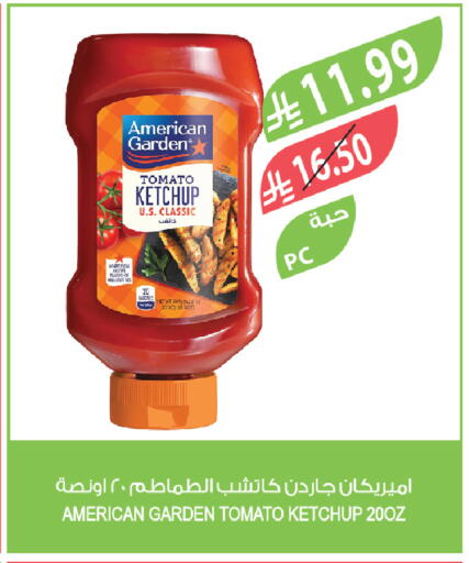 Tomato available at Farm  in KSA, Saudi Arabia, Saudi - Yanbu