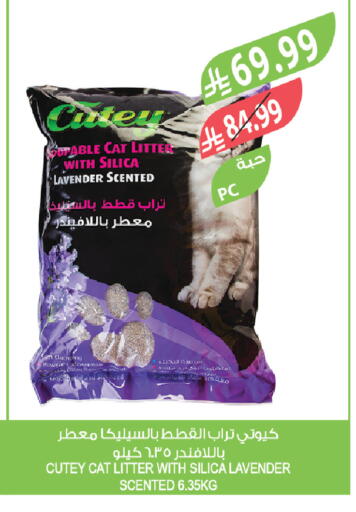 available at المزرعة in مملكة العربية السعودية, السعودية, سعودية - الباحة