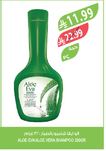 available at المزرعة in مملكة العربية السعودية, السعودية, سعودية - الباحة