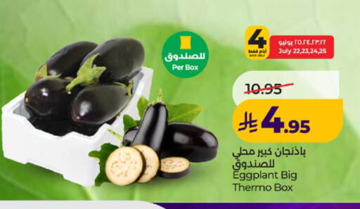 Eggplant available at لولو هايبرماركت in مملكة العربية السعودية, السعودية, سعودية - ينبع