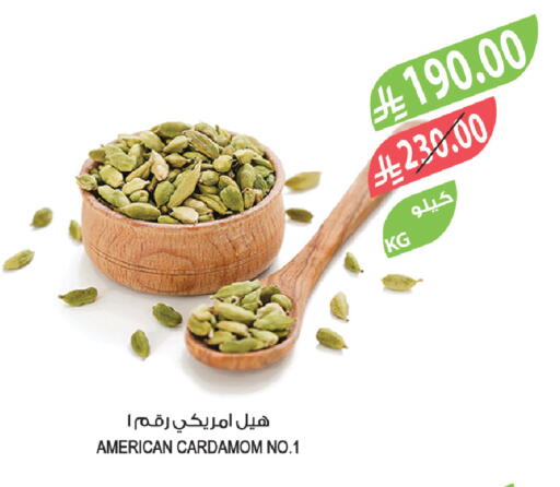 Cardamom available at المزرعة in مملكة العربية السعودية, السعودية, سعودية - ينبع