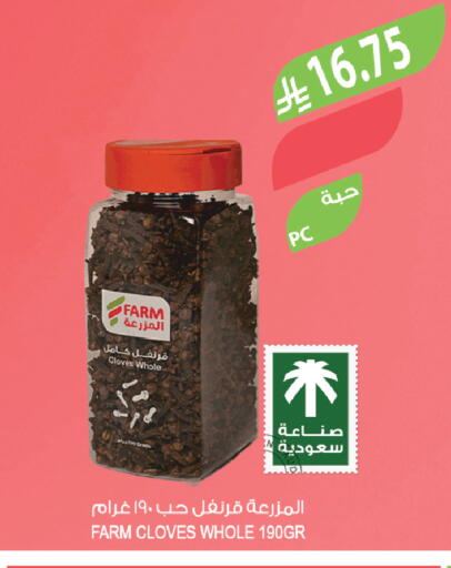 Cloves available at المزرعة in مملكة العربية السعودية, السعودية, سعودية - ينبع