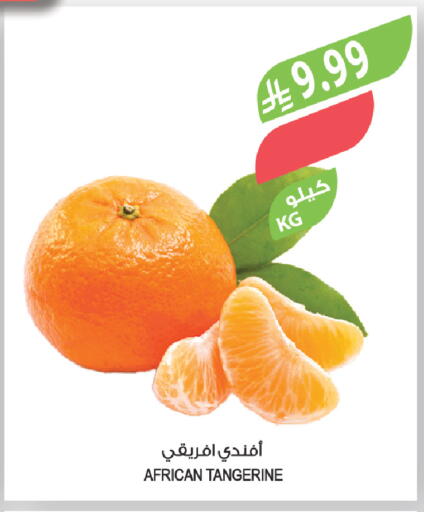 available at المزرعة in مملكة العربية السعودية, السعودية, سعودية - الباحة