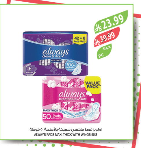 available at Farm  in KSA, Saudi Arabia, Saudi - Dammam