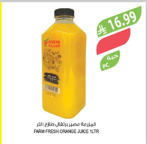 Orange available at المزرعة in مملكة العربية السعودية, السعودية, سعودية - تبوك