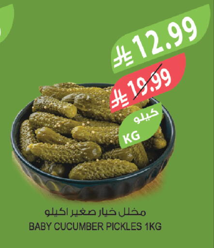 Cucumber available at المزرعة in مملكة العربية السعودية, السعودية, سعودية - ينبع