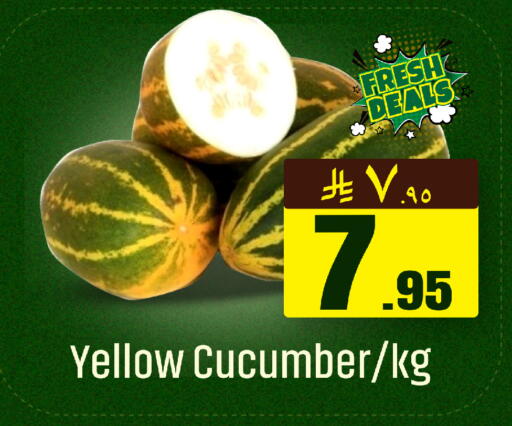 Cucumber available at مركز التسوق نحن واحد in مملكة العربية السعودية, السعودية, سعودية - الخبر‎
