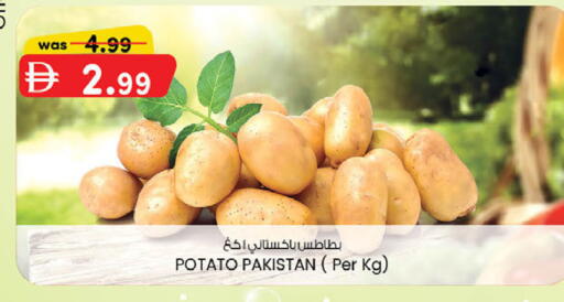 Potato from Pakistan available at الصفا in الإمارات العربية المتحدة , الامارات - ٱلْعَيْن‎