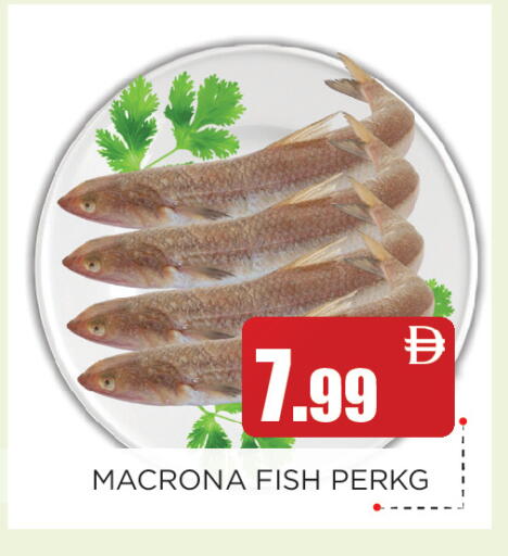 available at عين المدينة هايبرماركت in الإمارات العربية المتحدة , الامارات - الشارقة / عجمان