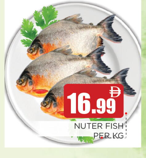 available at عين المدينة هايبرماركت in الإمارات العربية المتحدة , الامارات - الشارقة / عجمان