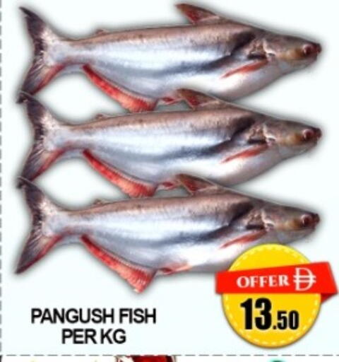 available at Green Gift Department Store in UAE - Dubai