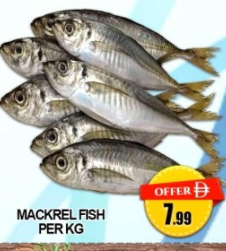 available at Green Gift Department Store in UAE - Dubai