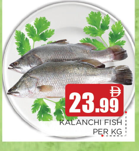 available at عين المدينة هايبرماركت in الإمارات العربية المتحدة , الامارات - الشارقة / عجمان