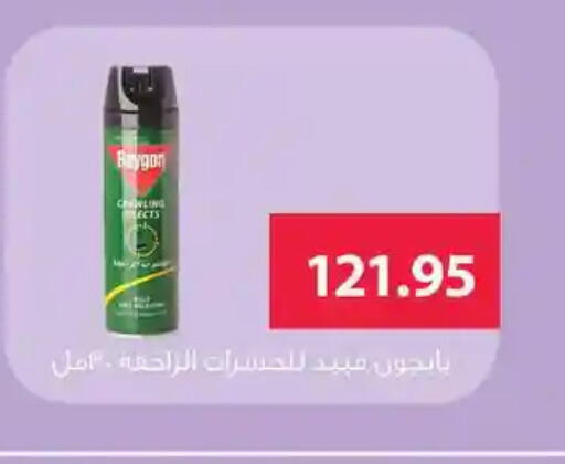 available at Othaim Market   in Egypt - Cairo
